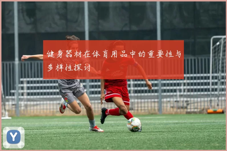 健身器材在体育用品中的重要性与多样性探讨