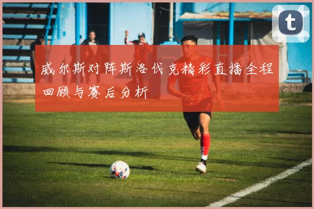 威尔斯对阵斯洛伐克精彩直播全程回顾与赛后分析